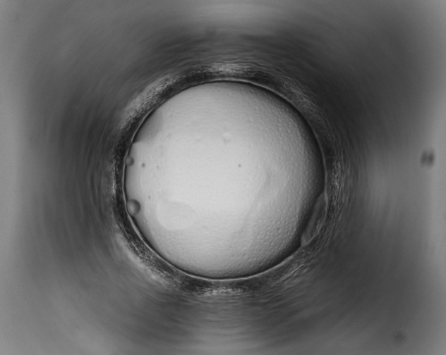 X0000115620734200911241623