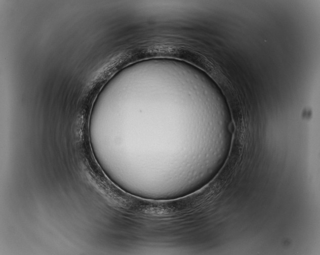 X0000115620735200911241623