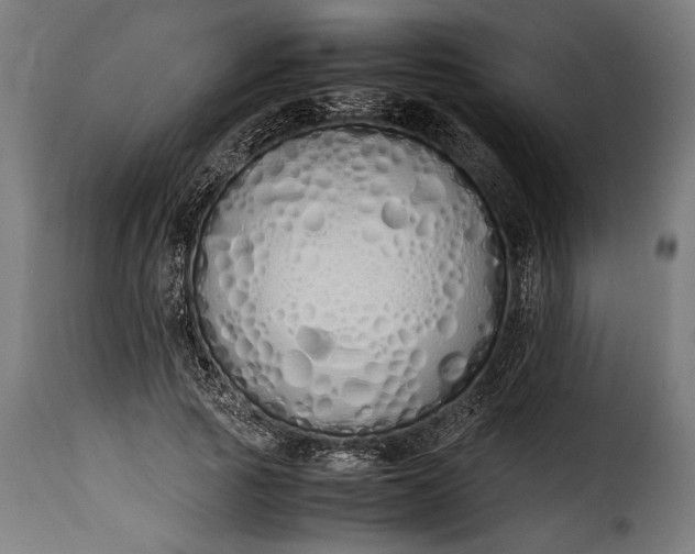 X0000115620737200911241623