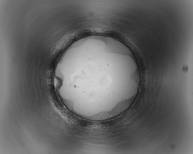 X0000115620738200911241623