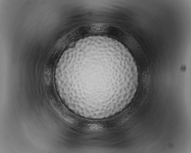 X0000115620741200911241623