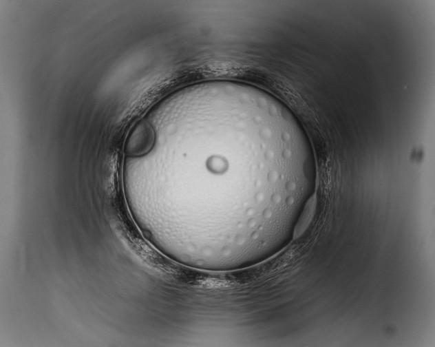 X0000115620742200911241623