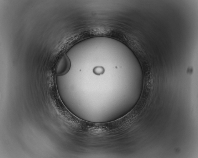 X0000115620743200911241623