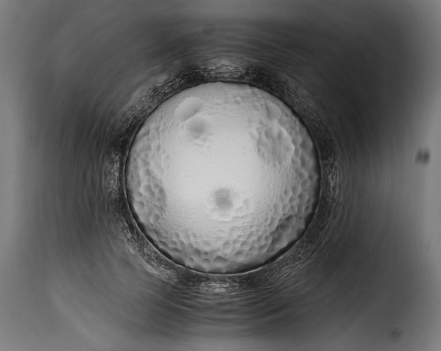 X0000115620745200911241623