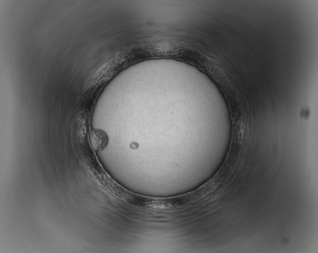 X0000115620746200911241623