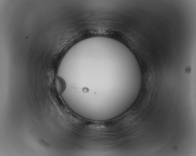 X0000115620747200911241623