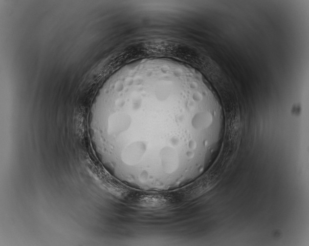 X0000115620749200911241623