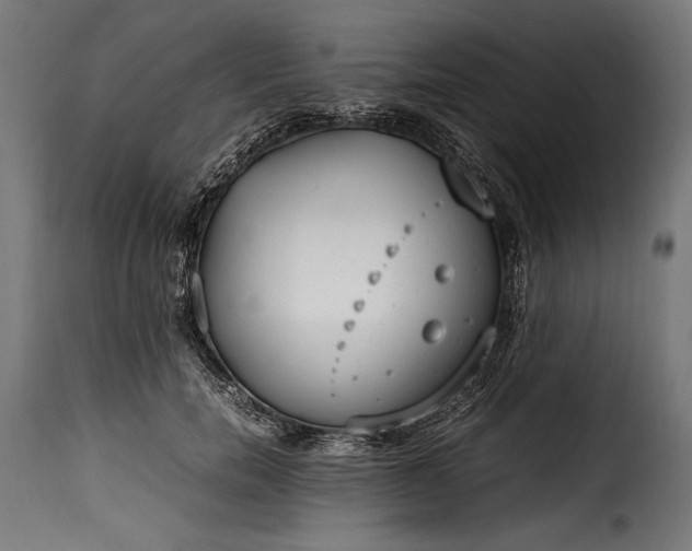 X0000115620750200911241623