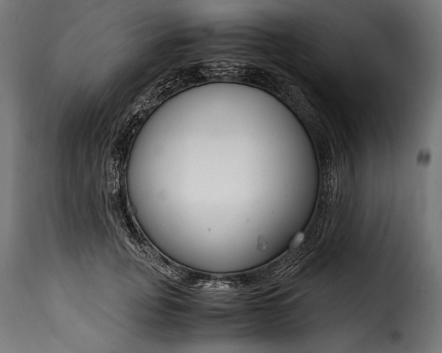 X0000115620751200911241623