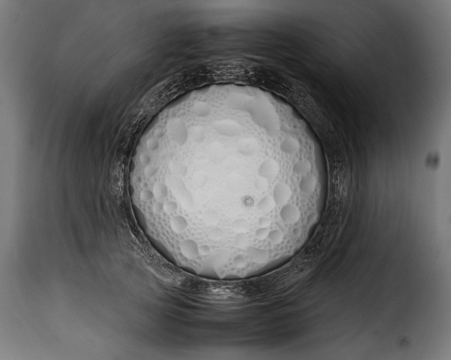 X0000115620753200911241623