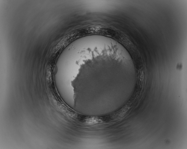 X0000115620754200911241623