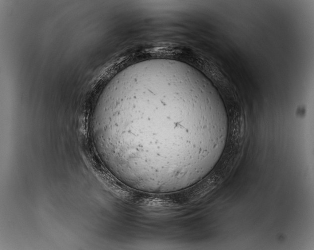 X0000115620755200911241624