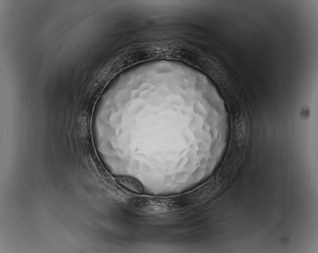 X0000115620757200911241624