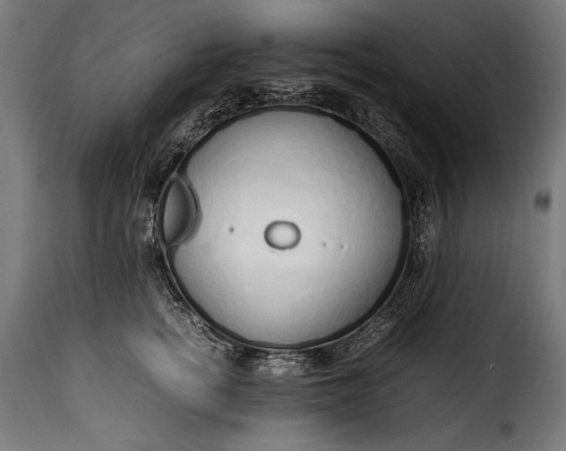 X0000115620758200911241624