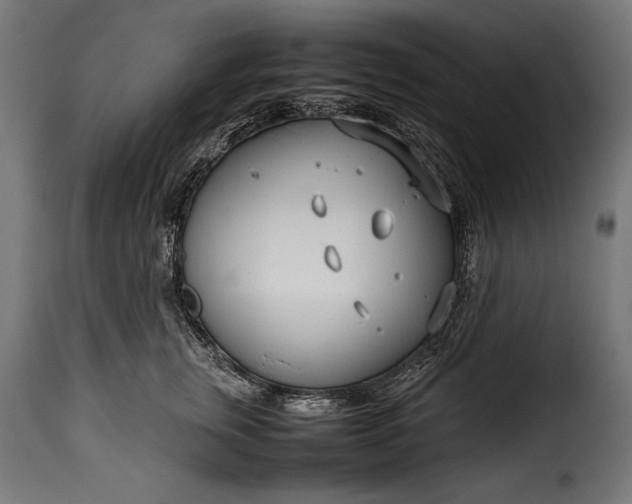 X0000115620759200911241624