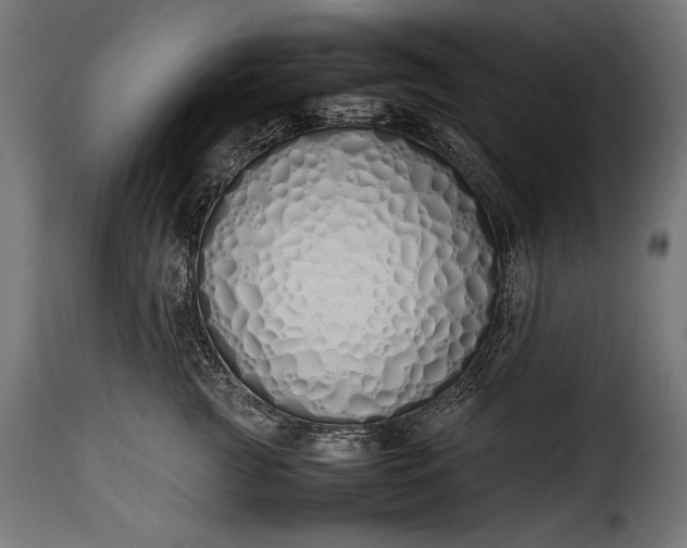 X0000115620761200911241624