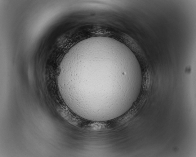 X0000115620762200911241624