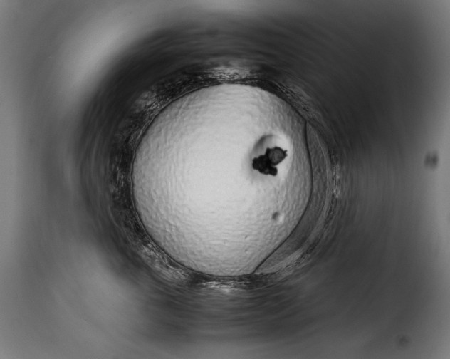 X0000115620763200911241624