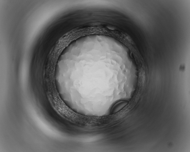 X0000115620765200911241624