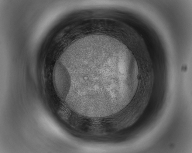 X0000115620766200911241624