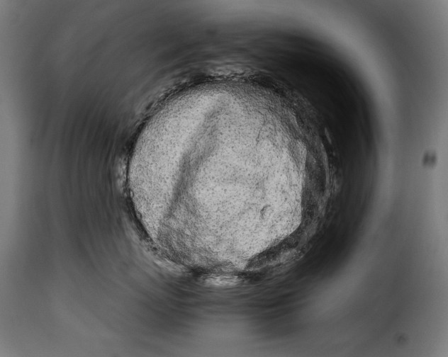 X0000115620767200911241624