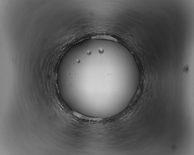 X0000115620769200911241623