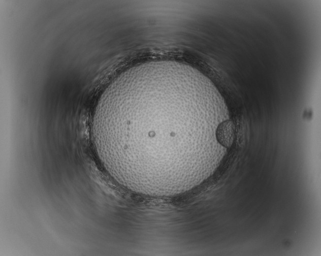 X0000115620770200911241623