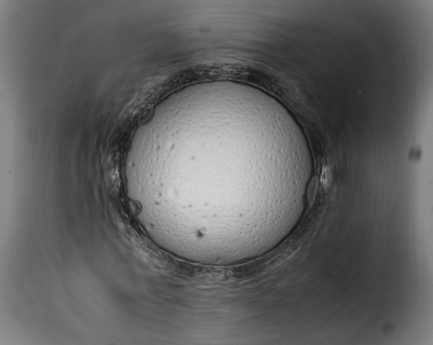 X0000115620771200911241623