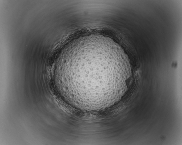 X0000115620772200911241623