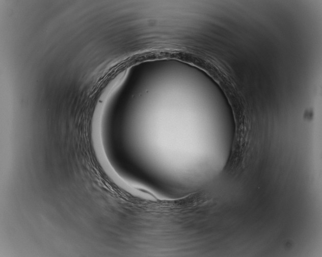 X0000115620773200911241623