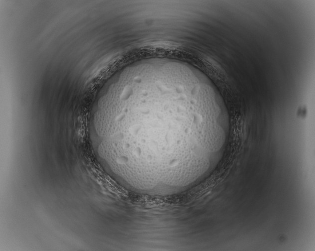 X0000115620774200911241623