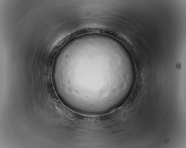 X0000115620775200911241623