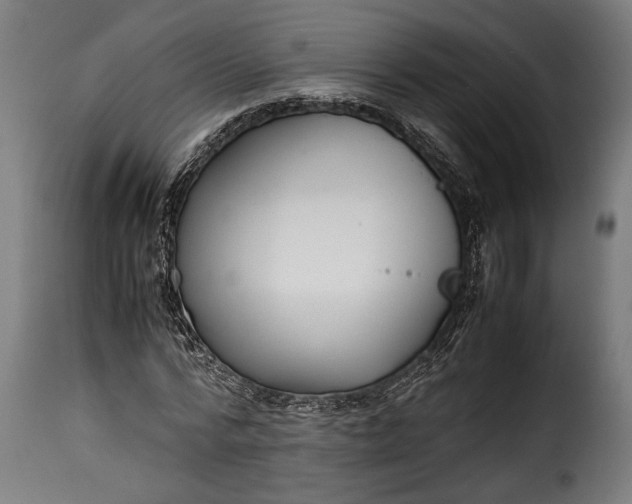 X0000115620776200911241623