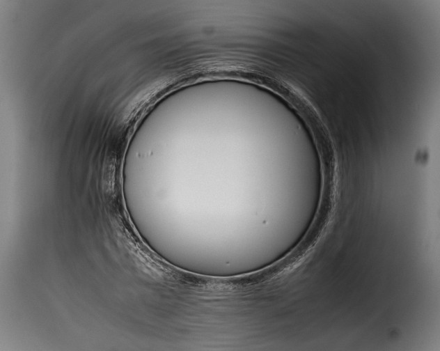 X0000115620777200911241623