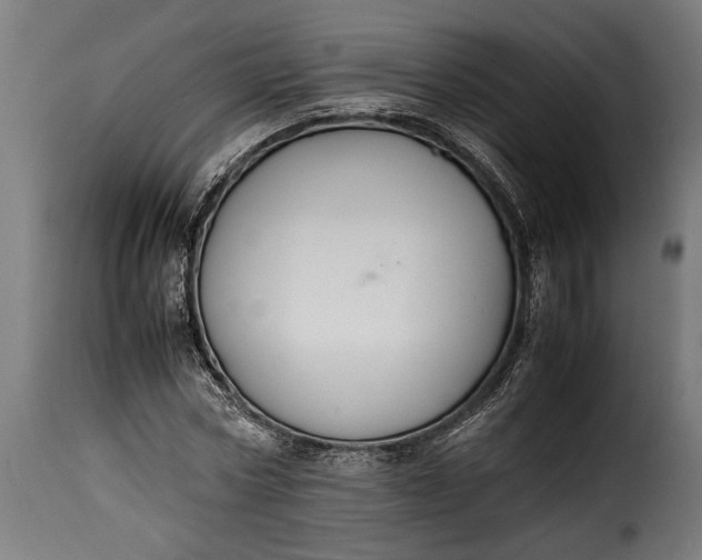 X0000115620778200911241623