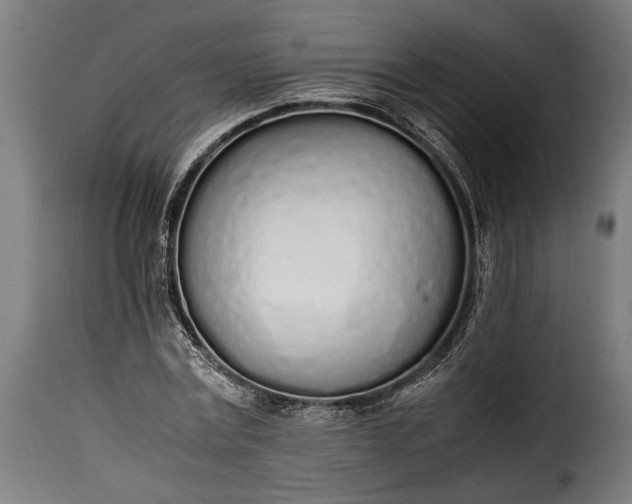 X0000115620779200911241623