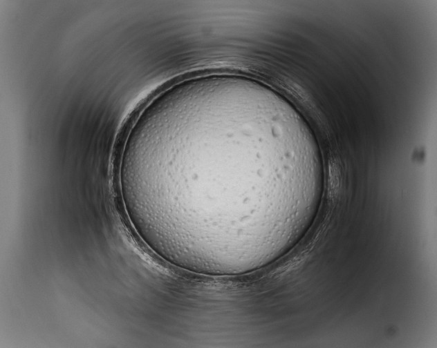 X0000115620780200911241623