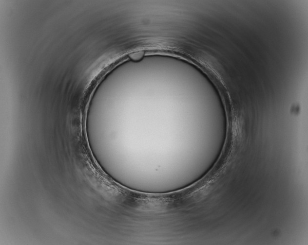 X0000115620781200911241623