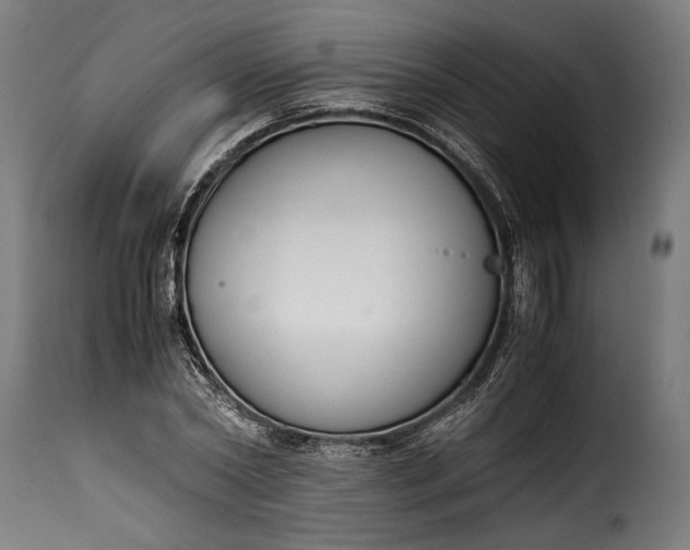 X0000115620782200911241623