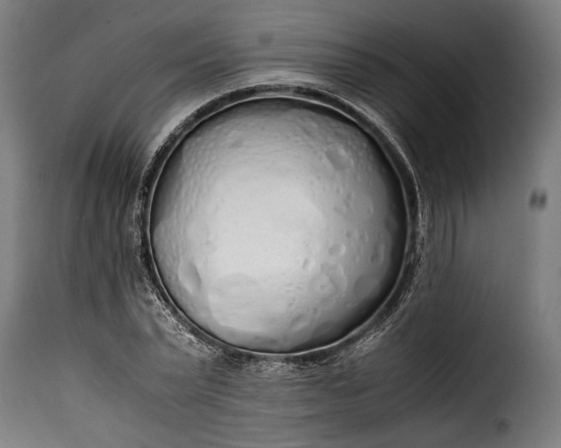 X0000115620783200911241623