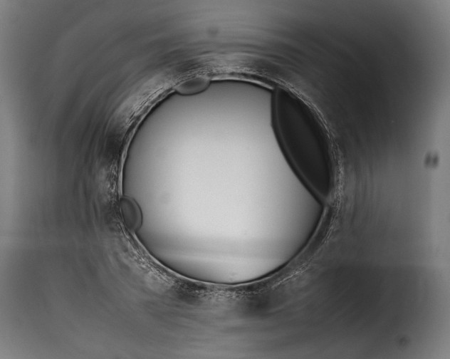 X0000115620785200911241623