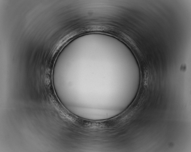 X0000115620786200911241623