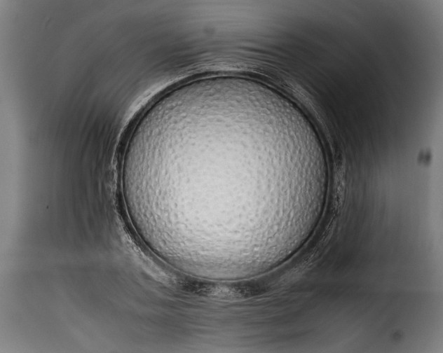 X0000115620787200911241623