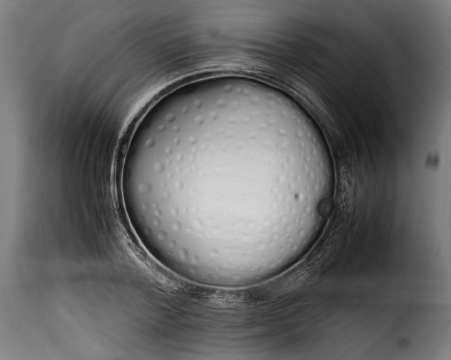 X0000115620788200911241623