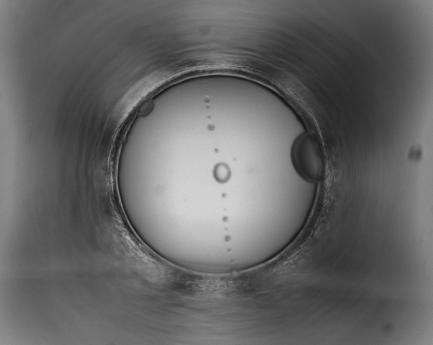 X0000115620789200911241623