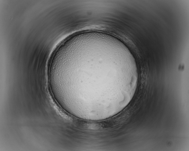 X0000115620792200911241623