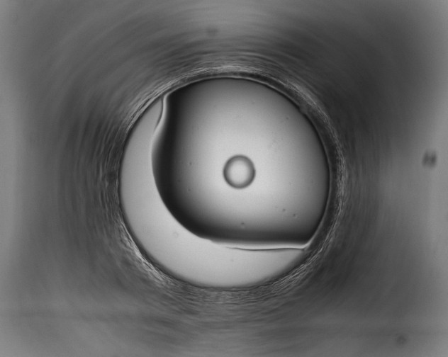 X0000115620793200911241623