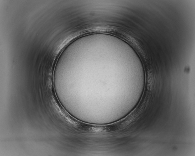 X0000115620794200911241623