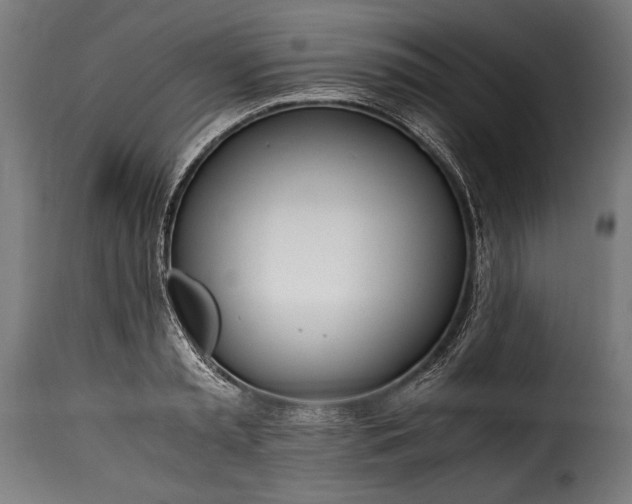 X0000115620797200911241623