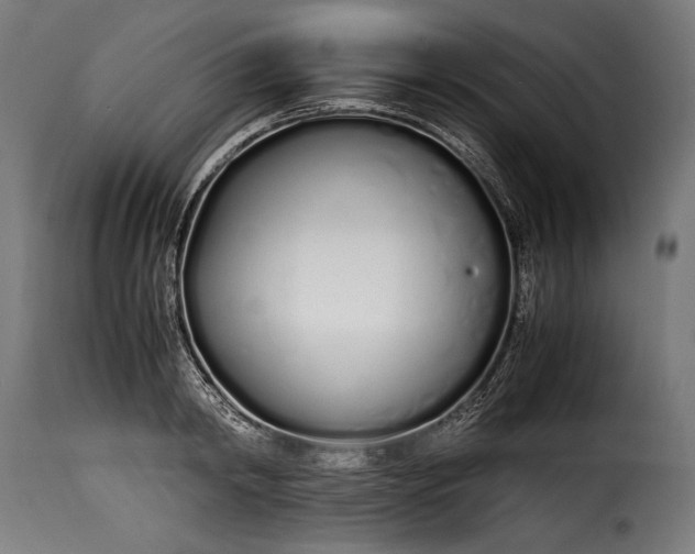 X0000115620798200911241623